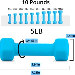 Portzon Weights Dumbbells 10 Colors Options Compatible with Set of 2 Neoprene Dumbbells Set,1-15 LB, Anti-Slip, Anti-roll, Hex Shape