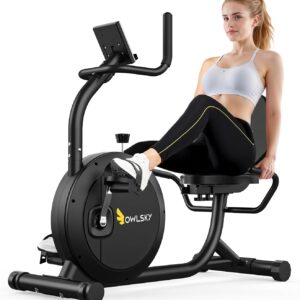 OWLSKY Recumbent Exercise Bike for Home Gym, Magnetic Stationary Bike with 16-Level Resistance, Quiet 15LBS Flywheel, 400LBS Capacity, Low-Impact Cardio & Physical Therapy