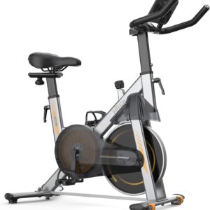 Stationary Exercise Bike with Magnetic Resistance & 3kg Cast Iron Flywheel, Quiet Indoor Cycle for Home Cardio Workout, App Connected Spin Bike, Max 265 LBS, Silver