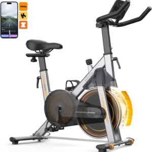 Stationary Exercise Bike with Magnetic Resistance & 3kg Cast Iron Flywheel, Quiet Indoor Cycle for Home Cardio Workout, App Connected Spin Bike, Max 265 LBS, Silver