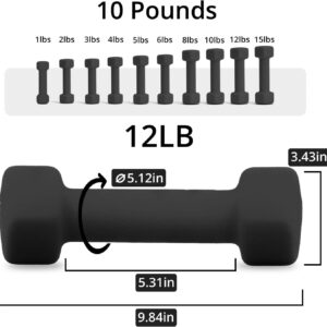 Portzon Weights Dumbbells 10 Colors Options Compatible with Set of 2 Neoprene Dumbbells Set,1-15 LB, Anti-Slip, Anti-roll, Hex Shape