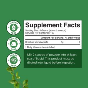 Micronized Creatine Monohydrate Powder for Men & Women – Pre & Post Workout Pure Creatine for Women & Men for Muscle Growth & Recovery – Raw Unflavored Nutritional Supplements for Muscle Gain – 500g