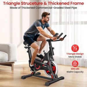 Exercise Bike, Stationary Bike for Home Cardio with Brake Pad Resistance System, 300 lbs Weight Capacity, Adjustable Seat/Handlebars, Compact Indoor Workout Bike for Beginner