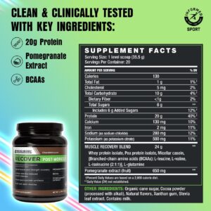 BODi Recover Whey Protein Powder Blend– Post-Workout Chocolate Whey Supplement for Muscle Recovery with 20g Protein, BCAAs, Pomegranate Extract – Fast Recovery – 18 Serving Packets