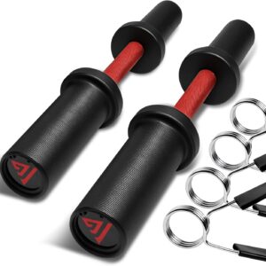 16″ Olympic Dumbbell Handle, Loadable Dumbbells for 2-inch Olympic Weight Plates, Dumbbell Bar for Home Gym Strength Training, 2 Pair of Spring Collars Included