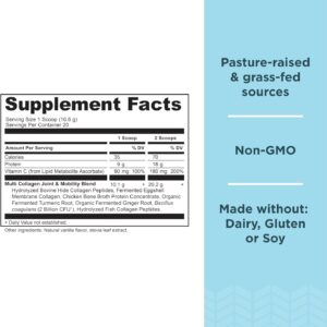 Ancient Nutrition Collagen Powder Protein, Multi Collagen Protein Powder Joint + Mobility, 20 Serving, Joint Supplement with Hydrolyzed Collagen Peptides for Post Workout, 7.48oz