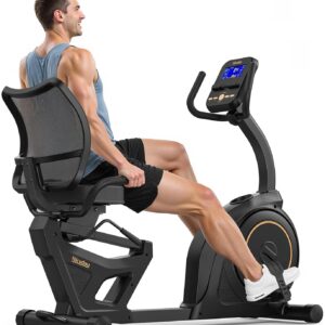 Niceday Recumbent Exercise Bike, Recumbent Bike for Home, Recumbent Stationary Bike 400LBS Weight Capacity, Magnetic Recumbent Bike with Smart APP, LCD Monitor, Heart Rate Handle