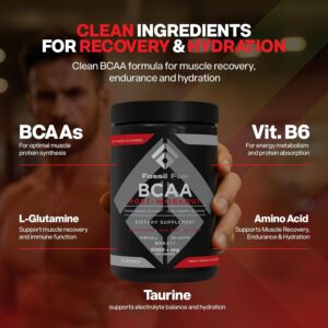Fossil Fuel Sugar-Free BCAA Powder – Post-Workout Muscle Recovery with BCAAs, Glutamine, Vitamin B6, Amino Acids, Endurance & Hydration, Fruit Punch (30 Servings)