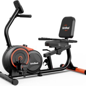 Recumbent Exercise Bike for Home,Recumbent Stationary Bikes for Adults & Seniors,Load Capacity of 400 pounds,Equipped with 16 Adjustable Gears, and Soft Adjustable Seats