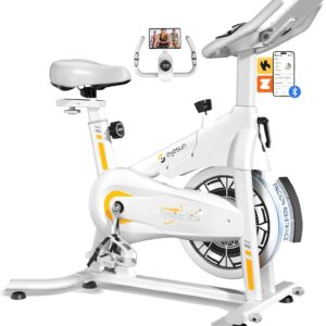 Exercise Bikes for Home,Foldable Bike with Adjustable Friction,Brake Pad Resistance Silent Belt Drive,350lbs/300lbs Weight Capacity &Upgraded Version Seat for Home Cardio&Weight Loss(QM-530W)