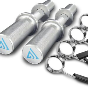 16″ Olympic Dumbbell Handle, Dumbbell Bar for 2-inch Olympic Weight Plates, Loadable Dumbbells for Home Gym Strength Training, 2 Pair of Spring Collars Included