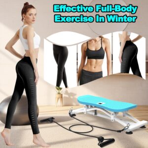KINMAC Indoor Ski Simulator with Resistance Bands – Balance Board Home Gym Sliding Machine for Full-Body Cardio, Non-Slip Base, Core & Leg Workout Trainer