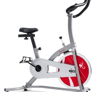 Sunny Health & Fitness ACTIVE Series Smart Exercise Bike with SunnyFit App Connection