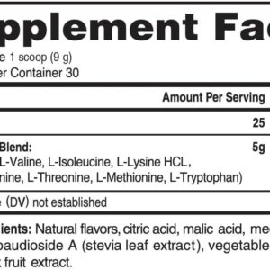 Advanced Bionutritionals – Advanced Amino Powder, Amino Acid Supplement, Build Muscle, Post Workout Recovery, Energy,Non-GMO, Gluten Free, Dairy Free, Vegan (30 Servings)