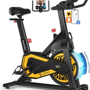 Exercise Bikes for Home,Indoor Cycling Bike with Adjustable Magnetic,Brake Pad Resistance Silent Belt Drive,330lbs Weight Capacity &Upgraded Version Seat for Home Cardio&Weight Loss