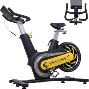 Exercise Bike, Rear Flywheel Stationary Bike for Home with 350 Lb Weight, Low Noise Indoor Cycling Magnetic Spin Bike