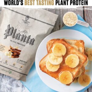 Ambrosia Planta – Plant-Based Protein Powder 20g | Dairy Free Vegan Protein Powder with BCAA Amino Acids | Keto-Friendly, No Added Sugar | 25 Servings | Banana Maple