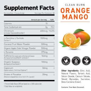 KAGED Clean Burn | Thermogenic Fat Burner Powder | CaloriBurn GP, L Carnitine, Coconut Water | Boost Metabolism, Energy, Focus | Orange Mango