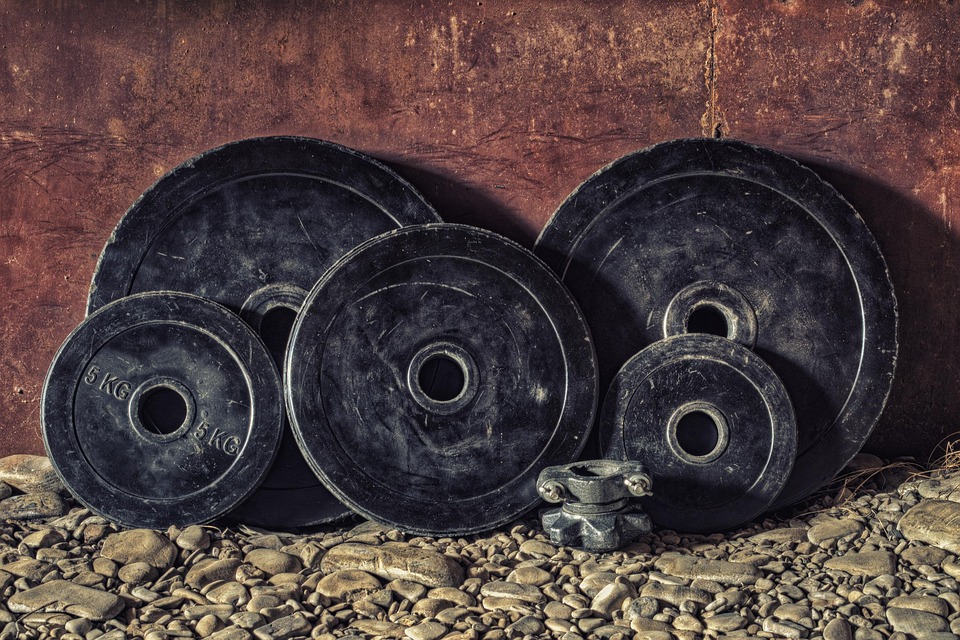 fitness equipment reviews