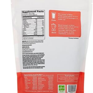 365 by Whole Foods Market, Whey Protein Isolate, Chocolate, 16 Ounce