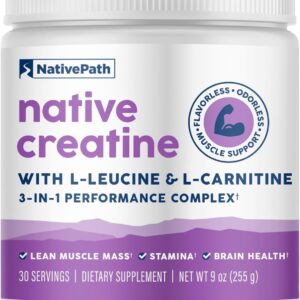 NativePath Creatine Monohydrate Powder with L-Leucine & L-Carnitine – Supports Muscle Health for Men & Women – 30 Servings