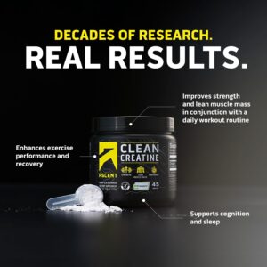 Ascent Clean Creatine Monohydrate Powder – 5G Per Serving, Creapure Supplement – Unflavored, 45 Servings