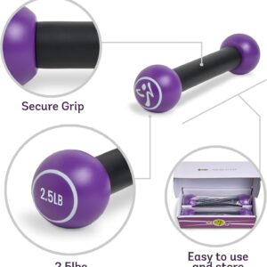 Zumba 2.5 lb Dumbbells Set of 2 – Hand Weights for Women, For Home Fitness Workout Excercise Weights Dumbbells Set, Purple