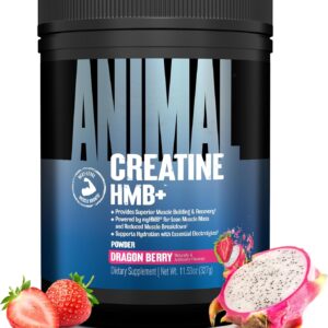 Animal Creatine HMB Powder – 3g myHMB + 5g Creatine with Electrolytes for Recovery & Daily Energy – Dragon Berry Flavor, 30 Servings