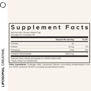 Codeage Liposomal Creatine Powder Supplement – 3-Month Supply – 5000mg Creatine Monohydrate Pre Workout & Post Workouts – Unflavored Creatine, Pure Creatine Powder, Creatinine for Sports – 90 Servings