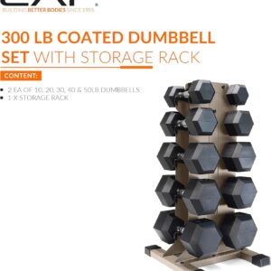 CAP Barbell Rubber Coated Hex Dumbbell Set with Vertical Rack | 100-300 lbs Free Weights Dumbbells Set for Home Gym | Multiple Options