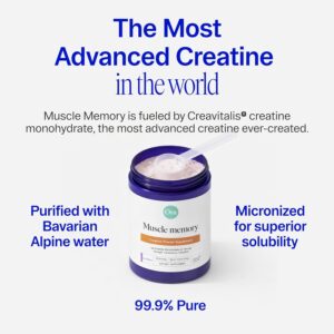 Ora Organic Creatine Monohydrate Powder – German-Sourced Creavitalis for Strength, elevATP for Energy, D-Ribose & Taurine for Recovery – Creatine for Women & Men – Acai Berry Flavor, 30 Servings