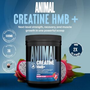Animal Creatine HMB Powder – 3g myHMB + 5g Creatine with Electrolytes for Recovery & Daily Energy – Dragon Berry Flavor, 30 Servings