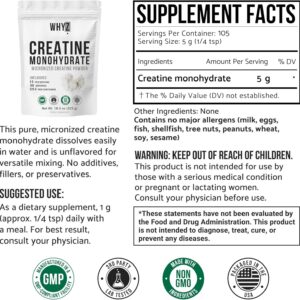 Creatine Monohydrate Powder, 525g, Micronized & Unflavored, Creatine Supplement for Men & Women, Muscle Support, Strength & Recovery, 105 Servings