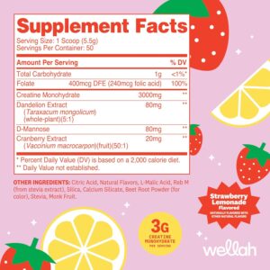 Wellah Creatine for Women – Creatine Monohydrate with Dandelion & Cranberry Extract (50 Servings, Strawberry Lemonade)