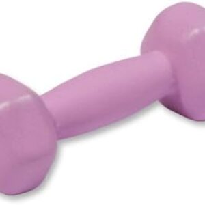 Body-Solid BSTND2 Light Purple 2Lb Neoprene Dumbell
