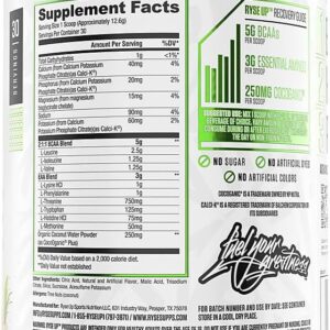 RYSE BCAA EAA Powder – Tropical Snocone – 5g Branched Chain Amino Acids, 3g Essential Aminos, Sugar-Free Electrolytes for Muscle Recovery, Endurance, Hydration and Strength – 30 Servings