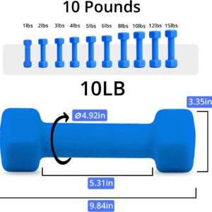 Portzon Weights Dumbbells 10 Colors Options Compatible Fitness Neoprene Dumbbell Weight Pairs with Anti-Roll Square Head Hand Weights, Exercise Free Weights for Home Gym