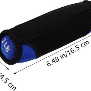 Soft Dumbbells 2lb Pair Hand Weights Portable Fitness Hand Trainer for Running Walking Arm Workout at Home with Blue Neoprene Coating