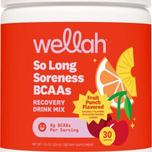Wellah So Long Soreness BCAA Powder (Fruit Punch Flavored) 30 Servings – with Hydration Complex