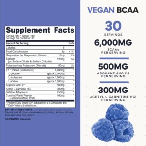 Type Zero Ultra Clean Vegan BCAA Powder + Electrolytes (Blue Raspberry | 6G) 2:1:1 Sugar-Free/No Sucralose BCAAs Amino Acids Supplement – BCAA Vegan Amino Acids After Workout Drink, 30 Servings