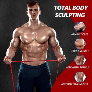 LEEKEY Resistance Bands, Exercise Bands,Pull Up Assist Bands – Bands for Working Out,Band for Men and Women Fitness Training, Physical Therapy,Home Workouts