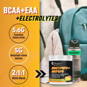 BCAA + EAA + Electrolytes | New & Improved | 6.5g EAAs, 5g BCAAs, Hydration Matrix | Citrus Blast Flavor | 30 Servings
