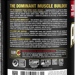 ALLMAX AMINOCORE BCAA Powder for Workout Muscle Recovery & Increased Endurance – Sugar Free, No Fillers 8.18 Grams Bcaas Amino Acids, B Vitamins for Women and Men – 30 Servings | Pink Lemonade, 345g