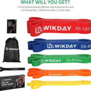 Resistance Bands, Pull Up Bands, Workout Bands for Exercise, Thick Heavy Resistance Band Set with Door Anchor, Elastic Bands for Body Stretching, Training at Home/Gym for Men & Women