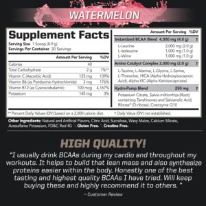 PMD Sports BCAA Stim-Free Amino Acids – Better Workout Performance, Enhanced Recovery, Daily Energy, Muscle Builder, and Muscle Sparing – BCAA Powder Drink Mix – Watermelon (30 Servings)