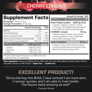 PMD Sports BCAA Charged Delicious Amino Acid Drink Mix for Performance, Recovery, Endurance and Hydration – Increase Muscle Function for Workout and Daily Energy – Cherry Limeade (30 Servings)