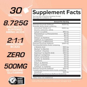 EFX Sports Aminozorb Elite 21 | PH-Correct, Full Spectrum Aminos + Glutamine | Essential & Non Essential Aminos | Zero Sugars | 30 Servings (Sour Peach)