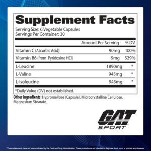 GAT SPORT BCAA Powder Nutritional Supplement, 266.5 Gram