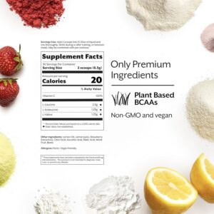 Promix BCAA Post-Workout Energy Powder – 5g Micronized BCAAs, Sugar Free, Plant Based, Vegan, Keto – Strawberry Lemon – 30 Servings (Pack of 1)