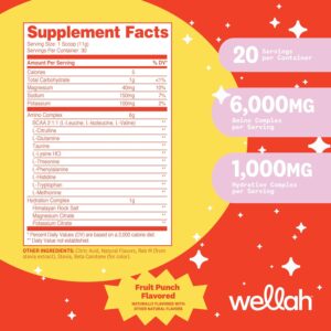 Wellah So Long Soreness BCAA Powder (Fruit Punch Flavored) 30 Servings – with Hydration Complex